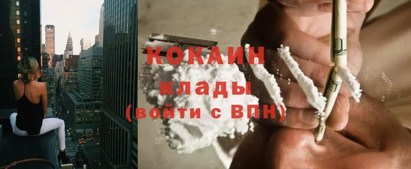 гашик Белокуриха