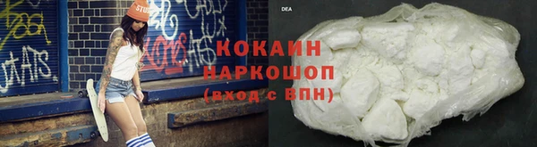 гашик Белокуриха