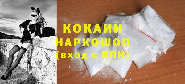 гашик Белокуриха