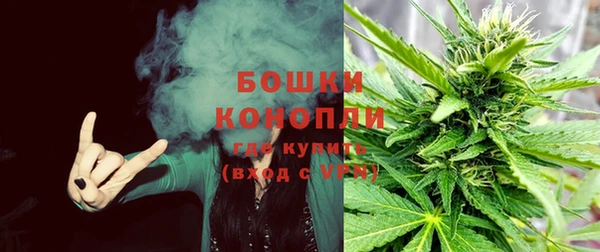 гашик Белокуриха